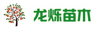 泰安市龍爍苗木有限公司
